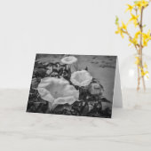 Carte Datura sacré (Fleur jaune)