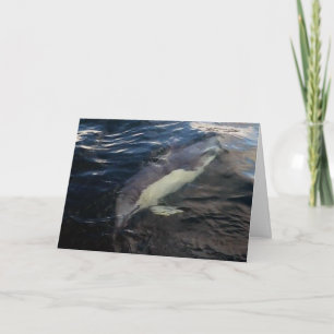 Carte Dauphin commun majestueux, scène sous-marine océan