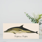 Carte Dauphin Delphinus Delphis, Mammifères Marins Vinta (Debout devant)