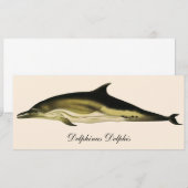 Carte Dauphin Delphinus Delphis, Mammifères Marins Vinta (Devant / Derrière)