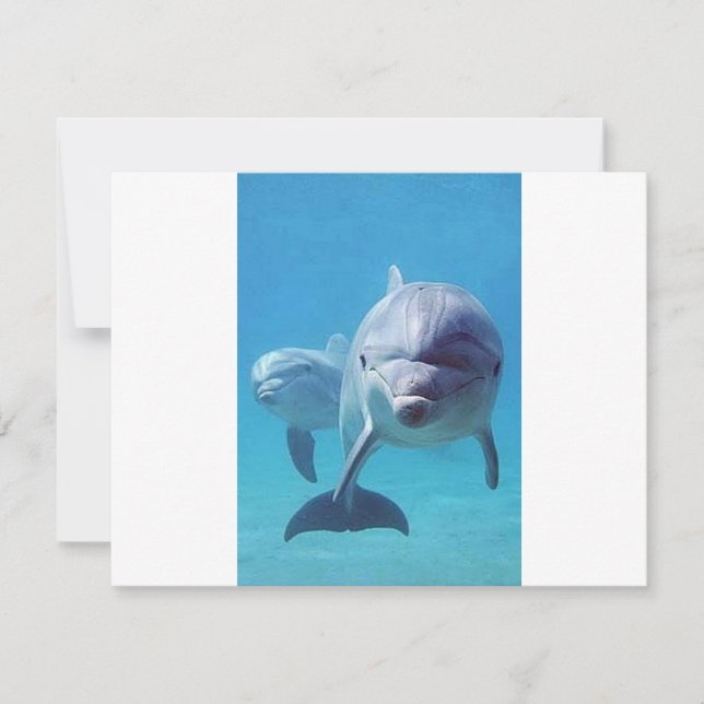 Carte dauphin II (Devant)
