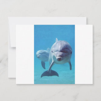Carte dauphin II