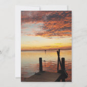 Carte Dauphins au coucher du soleil (Dos)