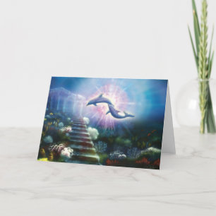 Carte Dauphins de Nori