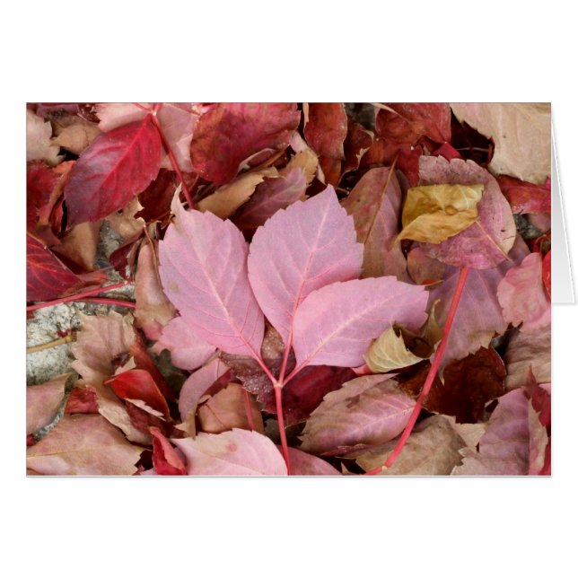 Carte d'automne (Devant horizontal)