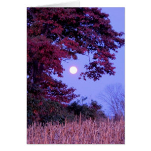 Carte d'automne avec pleine lune, chêne de bardeau