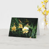 Carte Daylilies (Fleur jaune)