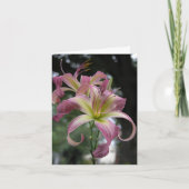 Carte Daylily Note (Devant)