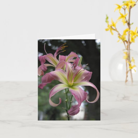 Carte Daylily Note (Fleur jaune)