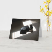 Carte Days Lonely (Fleur jaune)