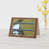 Carte de 5 po x 7 po avec enveloppe (Fleur jaune)