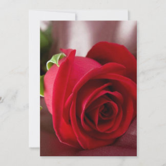 carte de base de 5 po x 7 po