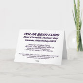 Carte de Bear Cubs (Dos)