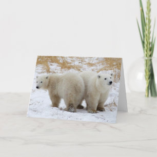 Carte de Bear Cubs
