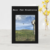 Carte de Bear Paw Mountains (Fleur jaune)