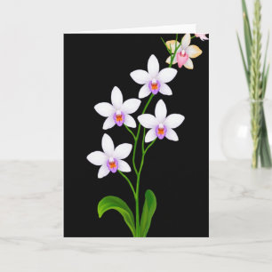 Carte de Beauté Florale Noire