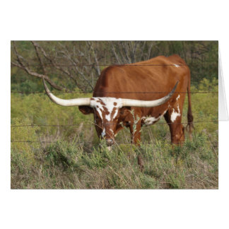 Carte de beauté Red Longhorn