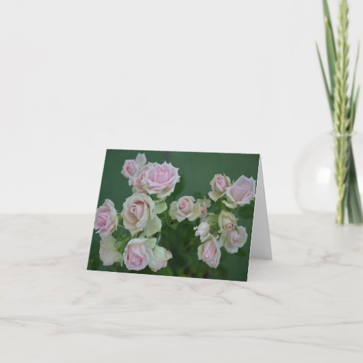 Carte De belles roses de jardin rose clair (Devant)