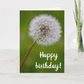 Carte de Bénédiction Anniversaire de Dandelion (Devant)