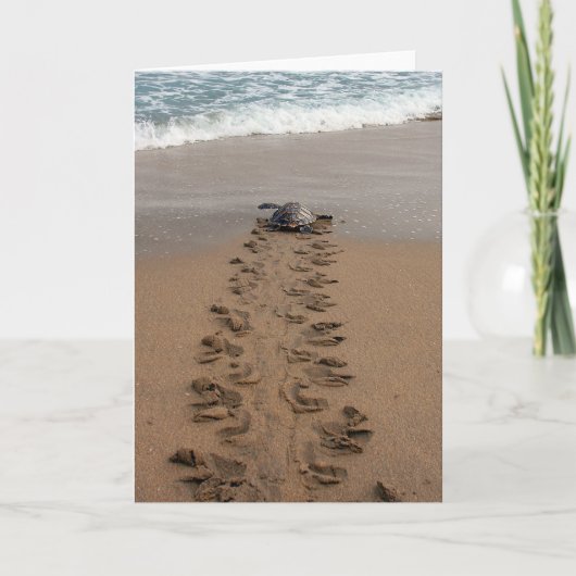 Carte de billet Hawksbill Turtle Trek (Devant)