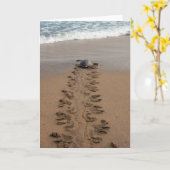 Carte de billet Hawksbill Turtle Trek (Fleur jaune)
