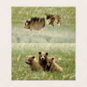 Carte de billet vierge pliée de grizzli & oursons (Outside Unfolded)