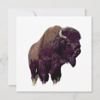 Carte de bison buffle