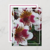 Carte de boîtier abeille et alstromerias (Devant / Derrière)