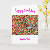 Carte de bonbon de joyeux anniversaire (Fleur jaune)