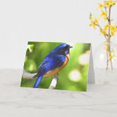 Carte de bonheur d'oiseau bleu (Fleur jaune)