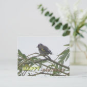 Carte de Bonne Anniversaire Chardonneret Coloré (Debout devant)