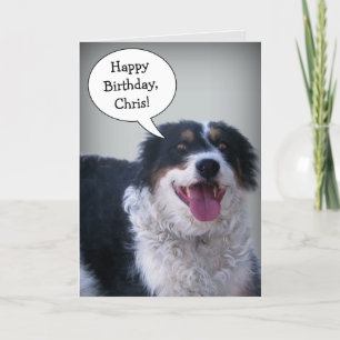 Carte de Bordercollie Birthday