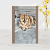 Carte de bouffe de bouffe (Fleur jaune)