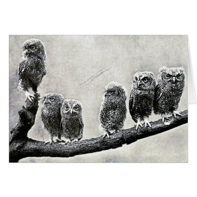 Carte de boule de crayon (Devant horizontal)