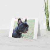 Carte de bouledogue français de joyeux (Dos)