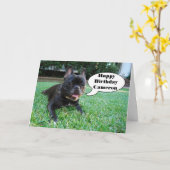 Carte de bouledogue français de joyeux (Fleur jaune)