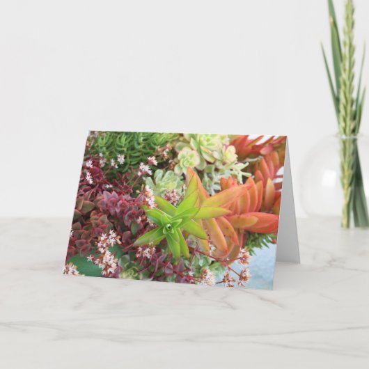 Carte de bouquet succulente (Devant)