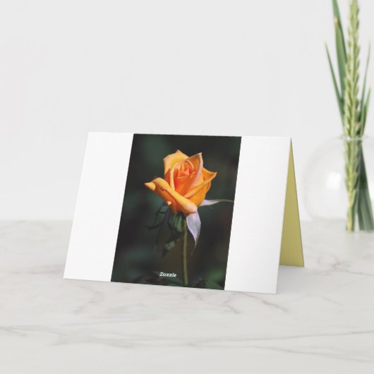 Carte de bourgeon de rose jaune de joyeux (Dos)