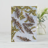 Carte de branches à feuillage persistant de sapin  (Debout devant)