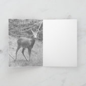 Carte de Brocard de Chevreuil – Chevreuil de Faune (Intérieur)