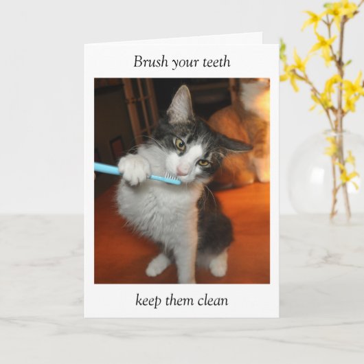 Carte de brossage de dents de chat (Fleur jaune)
