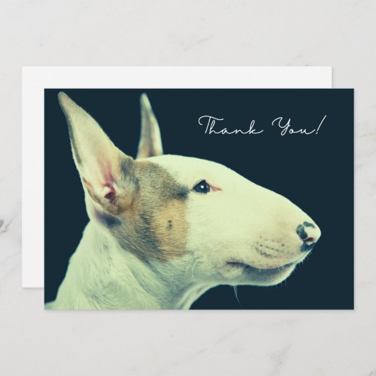Carte de Bull Terrier (Devant / Derrière)