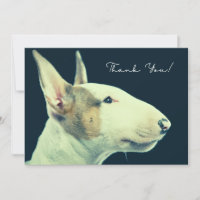 Carte de Bull Terrier