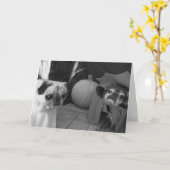 Carte de Bumblesnot Halloween : Charme sur vous (Fleur jaune)