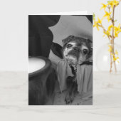 Carte de Bumblesnot Halloween : Compte Pugula (Fleur jaune)