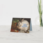 CARTE DE BUNNY DE PÂQUES POUR GRANDSON (Devant)