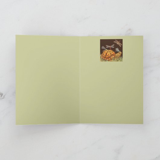 Carte de bus Turtle School (Intérieur)