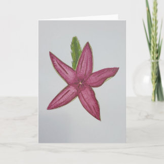 Carte de cactus floraux