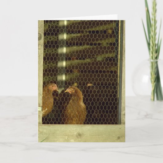 Carte de cage de poulet (Devant)