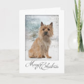 Carte de Cairn Terrier (Devant)